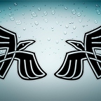 r4614 set 2 corbeaux n T