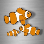 r4616 poisson clown B