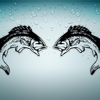 r4618 set 2x poisson jump n T