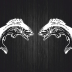 r4619 set 2x poisson jump blc T