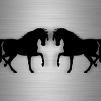 r4620 set 2x silouhette cheval noir B