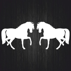 r4621 set 2x silouhette cheval blanc B