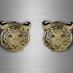 r4625 set 2x tiger old eye B