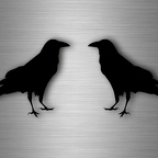 r4626 set 2x raven bec noir B