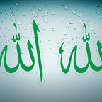 r4647 Set 2x A4 allah vert T