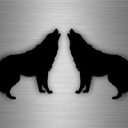 r4653 set 2x loup noir B