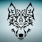r4656 A4 loup tribal n T