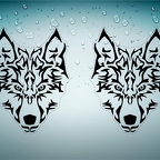 r4659 set 2x loup tribal n T