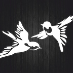 r4664 set 2 oiseaux blc T
