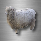 r4755 mouton vrai B