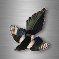 r4757 oiseau pie B