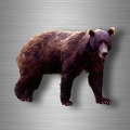 r4758 ours vrai B