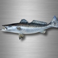 r4759 saumon vrai B