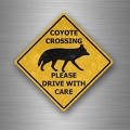 r4774 coyote xing B