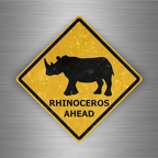 r4775 Rhino pano B