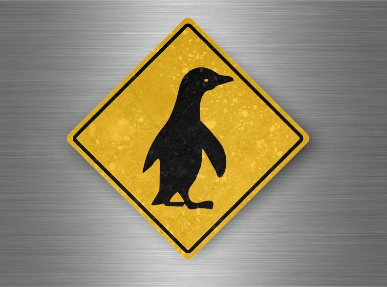 r4776 pinguoin pano B.jpg