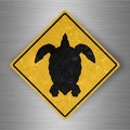 r4777 tortue pano B