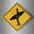r4784 surfer pano B