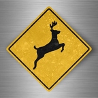 r4786 deer pano B