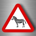 r4804 zebre pano B