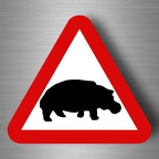 r4805 hippopotam pano B