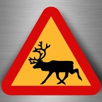r4806 deer pano B