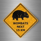 r4809 wombats pano B