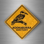 r4811 Kookaburra pano B