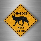 r4813 dingoes pano B