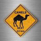 r4814 camels pano B