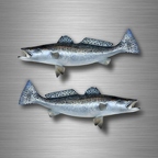 r4759 set 2x saumon vrai B