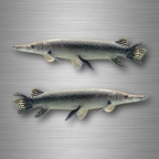 r4761 set 2x brochet B