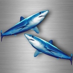 r4765 set 2x requin taupe B