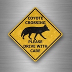 r4774 coyote xing B