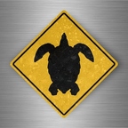 r4777 tortue pano B