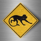 r4781 singe pano B