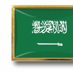 P E1 008 Arabie saoudite