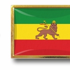 P E1 092 Ethiopie lion