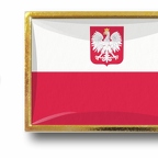 P E1 148 Pologne aigle