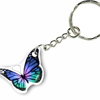 k0018 papillon bleu