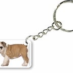 k23 chiot bulldog