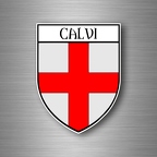r4829 blason calvi B
