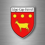 r4854 blason cap ferret B