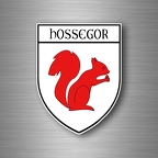 r4863 blason hossegor B
