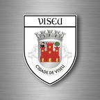 r4884 blason viseu B