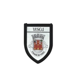 PBL67 blason viseu