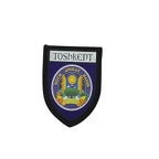 PBL94 blason toshkent