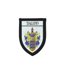 PBL125 blason talinn