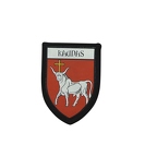 PBL175 blason kaunas
