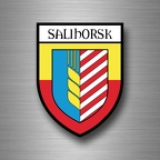 r5191 blason salihorsk B